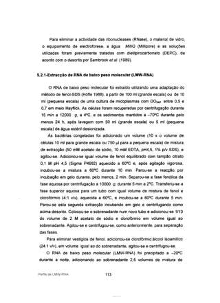 Para eliminar a actividade das ribonucleases (RNase), o material de vidro,
o equipamento de electroforese, a água MilliQ (Millipore) e as soluções
utilizadas foram previamente tratadas com dietilpirocarbonato (OEPC), de
acordo com o descrito por Sambrook et aI. (1989).
5.2.1-Extracção de RNA de baixo peso molecular (LMW-RNA)
o RNA de baixo peso molecular foi extraído utilizando uma adaptação do
método de fenol-SOS (hofte 1988), a partir de 100 mi (grande escala) ou de 10
mi (pequena escala) de uma cultura de micoplasmas com 00540 entre 0,5 e
0,7 em meio Hayflick. As células foram recuperadas por centrifugação durante
15 min a 12000 g, a 4°C, e os sedimentos mantidos a -70°C durante pelo
menos 24 h, após lavagem com 50 mi (grande escala) ou 5 mi (pequena
escala) de água estéril desionizada.
As bactérias congeladas foi adicionado um volume (10 x o volume de
células: 1Omi para grande escala ou 750 111 para a pequena escala) de mistura
de extracção (50 mM acetato de sódio, 10 mM EOTA, pH4,5, 1% p/v SOS), e
agitou-se. Adicionou-se igual volume de fenol equilibrado com tampão citrato
0,1 M pH 4,5 (Sigma P4G82) aquecido a GOoC e, após agitação vigorosa,
incubou-se a mistura a GOoC durante 10 mino Parou-se a reacção por
incubação em gelo durante, pelo menos, 2 mino Separou-se a fase fenólica da
fase aquosa por centrifugação a 10000 g, durante 5 min a 2°C. Transferiu-se a
fase superior aquosa para um tubo com igual volume de mistura de fenol e
clorofórmio (4:1 v/v), aquecida a GOoC, e incubou-se a GOoC durante 5 mino
Parou-se esta segunda extracção incubando em gelo e centrifugando como
acima descrito. Colocou-se o sobrenadante num novo tubo e adicionou-se 1/10
do volume de 2 M acetato de sódio e clorofórmio em volume igual ao
sobrenadante. Agitou-se e centrifugou-se, como anteriormente, para separação
das fases.
Para eliminar vestígios de fenol, adicionou-se clorofórmio:álcool isoamilíco
(24:1 v/v), em volume igual ao do sobrenadante, agitou-se e centrifugou-se.
O RNA de baixo peso molecular (LMW-RNA) foi precipitado a -20°C
durante a noite, adicionando ao sobrenadante 2,5 volumes de mistura de
Perfis de LMW-R~IA 113
 