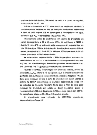 precipitação (etanol absoluto, 2M acetato de sódio, 1 M cloreto de magnésio,
numa razão de 100:1O: 1 v/v).
O RNA foi conservado a -20°C nesta mistura de precipitação de etanol. A
concentração das amostras em RNA de baixo peso molecular foi determinada
a partir de uma alíquota que foi centrifugada e ressuspendida em água,
assumindo que A260 =1 corresponde a 40 Jlg/ml de RNA.
Imediatamente antes da electroforese um volume de precipitado em
etanol, correspondente a 30 a 50 Jlg de tRNA, foi centrifugado a 12000 g,
durante 10 min a 2°C e o sedimento, após secagem ao ar, ressuspendido em
10 a 20 JlI de água DEPC e 4 JlI de tampão de aplicação da amostra (10 mM
acetato de sódio pH 4,5, 2,5 mM EDTA, 8 M ureia, 60% p/v sacarose, 0,1% p/v
azul de bromofenol, 0,1% p/v xileno cianole).
Na extracção em pequena escala, o RNA do precipitado em etanol foi
ressuspendido em 1°a 20 JlI de formamida a 100% v/v (Pharmacia 17-1320-
01) a 4°C e a sua concentração determinada por leitura da absorvência a 260
nm. Utilizou-se 10 a 15 Jlg (1 .Ig/.II) deste RNA para a electroforese.
Quando se verificou contaminação com fenol e/ou proteína, através de
uma razão A2601A28o inferior a 1,7 ou superior a 2,0, a amostra foi novamente
purificada. Esta purificação e enriquecimento da amostra na fracção de RNA de
baixo peso molecular foi feita a partir do precipitado em etanol, usando o
sistema Tip-20 RNA mini composto por colunas de troca iónica, de acordo com
as instruções do fabricante (QIAGEN). Neste caso, o RNA de baixo peso
molecular foi precipitado por adição de álcool isopropílico gelado e
ressuspendido em 100 .II de água isenta de RNases (água tratada com DEPC).
Na electroforese utilizou-se 30 a 50 .Ig (2,5 .Ig/.II) de amostra.
O procedimento para extracção de LMW-RNA encontra-se
esquematizado na Figura 5.1
Perfis de LMW~RNA 114
 