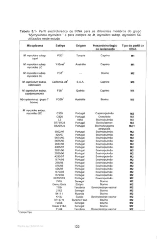 Tabela 5.1- Periil electroforético de tRNA para os diferentes membros do grupo
"Mycoplasma mycoides " e para estirpes de M. mycoides subsp. mycoides se
utilizados neste estudo
Micoplasma Estirpe Origem Hospedeiro/órgão Tipo de perfil de
de isolamento tRNA
M mycoides subsp. PG3
T
Turquia Caprino M1
capri
M mycoides subsp. Y-Goat
T
Austrália Caprino M1
mycoides LC
M mycoides subsp. PG1
T
Bovino M2
mycoides SC
M capricolum subsp California kidT E.U.A. Caprino M3
capricolum
M capricolum subsp. F38
T
Quénia Caprino M4
capripneumonia
Mycoplasma sp. grupo 7 PG50
T
Austrália Bovino M5
bovino
M mycoides subsp.
mycoides SC C305 Portugal Caprino/pulmão M2
0326 Portugal Ovino/leite M2
L2 Itália Bovino/pulmão M2
B773/125 Portugal Bovino/semen M2
B820/123 Portugal Bovino/lavagens M2/1
perpuciais
6092/97 Portugal Bovino/pulmão M2
425/97 Portugal Bovino/pulmão M2
B674/93 Portugal Bovino/pulmão M2
B675/93 Portugal Bovino/pulmão M2
2887/96 Portugal Bovino/pulmão M2
4366/97 Portugal Bovino/pulmão M2
2881/96 Portugal Bovino/pulmão M2
2886/96 Portugal Bovino/pulmão M2
4299/97 Portugal Bovino/pulmão M2
1674/98 Portugal Bovino/pulmão M2
268/95 Portugal Bovino/pulmão M2
816/98 Portugal Bovino/pulmão M2
425/97 Portugal Bovino/pulmão M2
1670/98 Portugal Bovino/pulmão M2
1672/98 Portugal Bovino/pulmão M2
B676P/93 Portugal Bovino/pulmão M2
Filfili Senegal Bovino M2
Gemu Gofa Etiópia Bovino M2
T1Sr Tanzânia Bovino/estirpe vacinai M2
2162 Senegal Bovino M2
9411 I Ruanda Bovino M2
KH3J Sudão Bovino/estirpe vacinai M2
87137-9 Burkina Faso Bovino M2
Fatick Senegal Bovino M2
Dakar2144 Senegal Bovino M2
T1/44 Tanzânia Bovino/estirpe vacinai M2
Estirpe Tipo
123
 