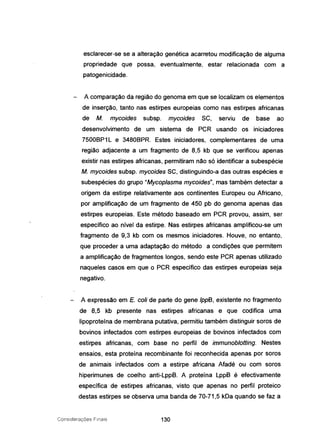 esclarecer-se se a alteração genética acarretou modificação de alguma
propriedade que possa, eventualmente, estar relacionada com a
patogenicidade.
A comparação da região do genoma em que se localizam os elementos
de inserção, tanto nas estirpes europeias como nas estirpes africanas
de M. mycoídes subsp. mycoídes SC, serviu de base ao
desenvolvimento de um sistema de PCR usando os iniciadores
7500BP'1 L e 3480BPR. Estes iniciadores, complementares de uma
região adjacente a um fragmento de 8,5 kb que se verificou apenas
existir nas estirpes africanas, permitiram não só identificar a subespécie
M. mycoides subsp. mycoides se, distinguindo-a das outras espécies e
subespécies do grupo "Mycoplasma mycoides", mas também detectar a
origem da estirpe relativamente aos continentes Europeu ou Africano,
por amplificação de um fragmento de 450 pb do genoma apenas das
estirpes europeias. Este método baseado em PCR provou, assim, ser
específico ao nível da estirpe. Nas estirpes africanas amplificou-se um
fragmento de 9,3 kb com os mesmos iniciadores. Houve, no entanto,
que proceder a uma adaptação do método a condições que permitem
a amplificação de fragmentos longos, sendo este PCR apenas utilizado
naqueles casos em que o PCR específico das estirpes europeias seja
negativo.
A expressão em E. colí de parte do gene IppB, existente no fragmento
de 8,5 kb presente nas estirpes africanas e que codifica uma
lipoproteína de membrana putativa, permitiu também distinguir soros de
bovinos infectados com estirpes europeias de bovinos infectados com
estirpes africanas, com base no perfil de immunoblotfing. Nestes
ensaios, esta proteína recombinante foi reconhecida apenas por soros
de animais infectados com a estirpe africana Afadé ou com soros
hiperimunes de coelho anti-LppB. A proteína LppB é efectivamente
específica de estirpes africanas, visto que apenas no perfil proteico
destas estirpes se observa uma banda de 70-71,5 kDa quando se faz a
Considerações Finais 130
 