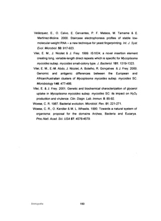 Velázquez, E., O. Calvo, E. Cervantes, P. F. Mateos, M. Tamame & E.
Martínez-Molina. 2000. Staircase electrophoresis profiles of stable low-
molecular-weight RNA - a new technique for yeast fingerprinting. Int. J. Syst.
Eval. Microbial. 50: 917-923.
Vilei, E. M., J. Nicolet & J. Frey. 1999. IS1634, a novel insertion element
creating long, variable-Iength direct repeats which is specific for Mycaplasma
mycaides subsp. mycaides small-colony type. J. Bacterial. 181: 1319-1323.
Vilei, E. M., E.-M. Abdo, J. Nicolet, A. Botelho, R Gonçalves & J. Frey. 2000.
Genomic and antigenic differences between the European and
African/Australian clusters of Mycoplasma mycoides subsp. mycaides SC.
Microbiology 146: 477-486.
Vilei, E. & J. Frey. 2001. Genetic and biochemical characterization of glycerol
uptake in Mycoplasma mycoides subsp. mycoides SC: its impact on H202
production and virulence. C/in. Diagn. Lab. Immun. 8: 85-92.
Woese, C. R 1987. Bacterial evolution. Microbiol. Rev. 51: 221-271.
Woese, C. R, O. Kandler & M. L. Wheelis. 1990. Towards a natural system of
organisma: proposal for the domains Archea, Bacteria and Eucarya.
Proc.Nat!. Acad. Sei. USA 87: 4576-4579.
Bibliografia 150
 
