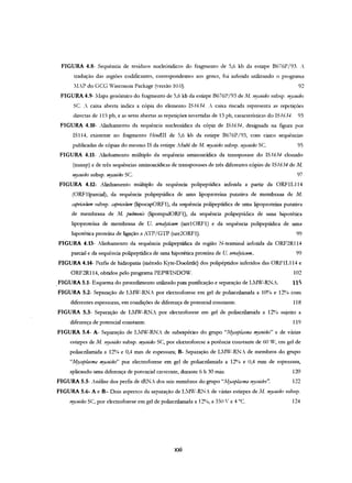 FIGURA 4.8- Sequência de resíduos nucleótidicos do fragmento de 5,6 kb da estirpe B676P /93. A.
tradução das regiões codificantes, correspondentes aos genes, foi inferida utilizando o programa
"LP do GCG lisconsin Package (versão 10.0). 92
FIGURA 4.9- Mapa genómico do fragmento de 5,6 kb da estirpe B676P /93 de M. 11~)'"oides subsp, ''?J'c'oides
se. _ caixa aberta indica a cópia do elemento IS1634. A caiixa riscada representa as repetições
directas de 115 pb, e as setas abertas as repetições invertidas de 13 pb, características do IS 1634. 93
FIGURA 4.10- Alinhamento da sequência nucleotídica da cópia de lS1634, designada na figura por
lS114. existente no fragmento Hi"dIII de 5,6 kb da estirpe B676P /93, com cinco sequências
publicadas de cópias do mesmo IS da estirpe Afadé de M. mycoides subsp. 11!J/foides Se. 95
FIGURA 4.11- Alinhamento múltiplo da sequência aminoacídica da transposase do IS 1634 clonado
(transp) e de três sequências aminoacídicas de transposases de três diferentes cópias de lS1634 de M.
''!Ymides subsp, mycoides Se. 97
FIGURA 4.12- AJ.i.nhamento múltiplo da sequência polipeptídica inferida a partir da ORFIL114
(ORFllparcial), da sequência polipeptídica de uma lipoproteína putativa de membrana de M.
c-aptiaJlum subsp. mptic'OIum (lipocapORFl), da sequência polipeptídica de uma lipoproteína putativa
de membrana de M. pulmonis (lipompuIORFl), da sequência polipeptídica de uma hipotética
lipoproteína de membrana de U. IIrea!ytú"Um (urel0RFl) e da sequência polipeptídica de uma
hipotética proteína de ligação a ATP/GTP (ure20RFl). 99
FIGURA 4.13- Alinhamento da sequência polipeptídica da região N-terminal inferida da ORF2R114
parcial e da sequência polipeptídica de uma hipotética proteína de U. llrea!ylimm.. 99
FIGURA 4.14- Perfis de hidropatia (método Kyte-Doolittle) dos polipéptidos inferidos das ORFIL114 e
ORF2Rl14, obtidos pelo programa PEPWINDOW. 102
.FIGURA 5.1- Esquema do procedimento utilizado para purif.tcação e separação de LIV-Rt'lA 11S
FIGURA 5.2- Separação de L~IV-RN" por electroforese em gel de poliacrilamida a 10% e 12% com
diferentes espessuras, em condições de diferença de potencial constante. 118
FIGURA 5.3- Separação de L1IV-R.clJA por electroforese em gel de poliacrilarnida a 12% sujeito a
diferença de potencial constante. 119
FIGURA 5.4- A- Separação de LMW-RN" de subespécies do grupo "A!Jcoplasma mycoides" e de várias
estirpes de M. 11!y,'Oides subsp. ,,!yc'Oides SC, por electroforese a potência constante de 60 '1, em gel de
poliacrilamida a 12% e 0,4 mm de espessura; B- Separação de LMW-RNA de membros do grupo
"Af}wplasma mycoides" por electroforese em gel de poliacrilamida a 12% e 0,4 mm de espessura,
aplicando uma diferença de potencial crescente, durante 6 h 30 mino 120
FIGURA 5.5- Análise dos perfis de tRNA dos seis membros do grupo "A[yc'OplaJ"flla mycoides". 122
FIGURA 5.6- A e B- Dois aspectos da separação de L~I'V-Rt'L de várias estirpes de iVI. ,,!yfoide.r subsp.
"!Ycvides SC, por electroforese em gel de poliacrilamida a 12%, a 350 V e 4 "C. 124
xxi
 