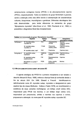 peripneumonia contagiosa bovina (PPCS) e da pleuropneumonia caprina
(PPCC), respectivamente. Todos os membros do grupo fermentam a glucose,
sendo a distinção entre eles difícil devido à sobreposição de características
culturais, bioquímicas, imunológicas e genéticas. Diferentes abordagens têm
sido desenvolvidas para tentar diferenciar os elementos do grupo
"Mycoplasma mycoides" (Abu-Groun et aI., 1994; Poumarat et aI., 1992;) e
possibilitar o diagnóstico.fiável das micoplasmoses.
Tabela 1.2- Composição do grupo "Mycoplasma mycoides"
Espécie Estirpe Doença
tipo
Hospedeiro
principal (e outros)
Pneumonia, artrite, Caprinos (ovinos,
mamite bovinos)
Pleuropneumonia Caprinos
(PPCC)
Artrite, mamite, Bovinos
pneumonia
Sub-grupo 1 M. mycoides subsp. PG1 Peripneumonia
mycoides SC (PPCS)
Caprinos (raro)
Bovinos
(caprinos, ovinos
e búfalo)
Caprinos (ovinos,
bovinos)
Pneumonia,
mamite, artrite
Pneumonia
M. mycoides subsp, Y Goat
mycoides LC
M. mycoides subsp, capri PG3
Sub-grupo 2 M. capricolum subsp. California
capricolum Kid
M. capricolum subsp. F38
capripneumonia
Mycoplasma sp. grupo 7 PG50
bovino
1.2- MVCOPLASMA MVCOIDES SUBSP. MVCOIDES se
o agente etiológico da PPCB foi o primeiro micoplasma a' ser ísolado e
descrito (Nocard & Roux, 1898), embora a doença fosse já conhecida desde o
fim do século XVII. Em 1956, Edward e Freundt identificaram-no
definitivamente como M. mycoides subsp. mycoides e designaram-no para
espécie tipo da classe Mollicutes. Cottewe Yeats (1978), ao reconhecerem a
existência de duas variantes morfológicas: um biótipo small colony (SC),
responsável pela PPCB nos bovinos, e um biótipo large colony (LC),
responsável por pneumonias, artrites e mamites nos caprinos e ovinos,
propuseram a alteração do nome para M. mycoides subsp. mycoides SC.
Introdução Geral 5
 