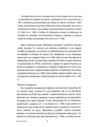 No diagnóstico de rotina a distinção entre os dois biótipos faz-se com base
na capacidade de digestão da caseína, liquefacção de soro e sobrevivência a
45°C, características apresentadas pelo biótipo LC (Brown & Ambrose, 1990).
Outras características bioquímicas diferenciais foram observadas, tais como a
presença das enzimas a-glucosidade e transcarbamilase de ornitina no biótipo
LC (Salih et ai., 1993). O biótipo SC distinguia-se através de diferenças na
utilização de substratos, não fermentando a maltose, a trealose e a manose
quando em baixas concentrações (Abu-Groun et ai., 1994).
Alguns membros do grupo "Mycoplasma mycoides", incluindo M. mycoides
subsp;-mycoides SC, possuem uma estrutura semelhante a uma cápsula
formada por galactano, um polímero de galactofuranose que representa 90%
da totalidade de hidratos de carbono dos micoplasmas e cuja composição
exacta varia com a espécie (Egwu et ai.,1996). Pensa-se que esta cápsula de
polissacáridos de M. mycoides subsp. mycoides SC tenha um papel importante
na agressividade da PPCB, promovendo a ligação do agente infeccioso ao
tecido do hospedeiro e aumentando a resistência à fagocitose. Ao induzir uma
resposta auto-imune, a cápsula também poderá ter um efeito tóxico nas células
hospedeiras (Nicholas et ai., 2000). Este complexo capsular poderá, assim, ser
um potencial candidato para o desenvolvimento de vacinas (March et a/., 1999
a).
Protelnes Imunogénicas
Com o objectivo de caracterizar antigénios mais sensíveis e específicos de
M. mycoides subsp. mycoides SC, que possibilitem não só um diagnóstico
mais eficiente da PPCB, mas, também, o desenvolvimento de vacinas, vários
genes têm sido clonados e expressos. O gene codificante de uma lipoproteína
imunogénica de massa molecular 72 kDa, denominada P72, foi identificado,
caracterizado e expresso em E. coli (Cheng et ai., 1996). Esta proteína era
expressa por várias estirpes de M. mycoides subsp. mycoides SC, mas não por
outros membros do grupo UMycoplasma mycoides", embora parecesse
pertencer a uma família de proteínas típicas de micoplasmas deste grupo. Tal
hipótese foi confirmada mais tarde (Monnerat et aI., 1999), ao verificar-se que
Introdução Geral 6
 