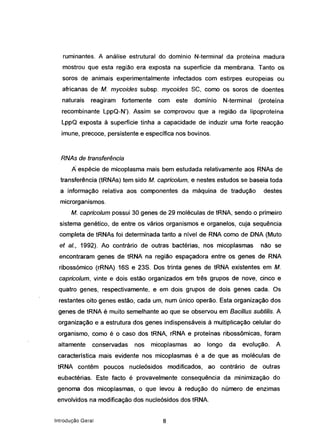 ruminantes. A análise estrutural do domínio N-terminal da proteína madura
mostrou que esta região era exposta na superfície da membrana. Tanto os
soros de animais experimentalmente infectados com estirpes europeias ou
africanas de M. mycoides subsp. mycoides se, como os soros de doentes
naturais reagiram fortemente com este domínio N-terminal (proteína
recombínante LppQ-N'). Assim se comprovou que a região da lipoproteína
LppQ exposta à superfície tinha a capacidade de induzir uma forte reacção
imune, precoce, persistente e específica nos bovinos.
RNAs de transferência
Â espécie de micoplasma mais bem estudada relativamente aos RNAs de
transferência (tRNAs) tem sido M. capricolum, e nestes estudos se baseia toda
a informação relativa aos componentes da máquina de tradução destes
microrganismos.
M. capricolum possui 30 genes de 29 moléculas de tRNA, sendo o primeiro
sistema genético, de entre os vários organismos e organelos, cuja sequência
completa de tRNAs foi determinada tanto a nível de RNA como de DNA (Muto
et aI., 1992). Ao contrário de outras bactérias, nos micoplasmas não se
encontraram genes de tRNA na região espaçadora entre os genes de RNA
ribossómico (rRNA) 16S e 23S. Dos trinta genes de tRNA existentes em M.
capricolum, vinte e dois estão organizados em três grupos de nove, cinco e
quatro genes, respectivamente, e em dois grupos de dois genes cada. Os
restantes oito genes estão, cada um, num único operão. Esta organização dos
genes de tRNA é muito semelhante ao que se observou em Bacillus subtilis. A
organização e a estrutura dos genes indispensáveis à multiplicação celular do
organismo, como é o caso dos tRNA, rRNA e proteínas riboss6micas, foram
altamente conservadas nos micoplasmas ao longo da evolução. A
característica mais evidente nos micoplasmas é a de que as moléculas de
tRNA contêm poucos nucleósidos modificados, ao contrário de outras
eubactérias. Este facto é provavelmente consequência da minimização do
genoma dos micoplasmas, o que levou à redução do número de enzimas
envolvidos na modificação dos nucleósidos dos tRNA.
Introdução Geral 8
 