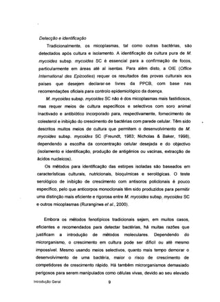 Detecção e identificação
Tradicionalmente, os micoplasmas, tal como outras bactérias, são
detectados após cultura e isolamento. A identificação da cultura pura de M.
mycoides subsp. mycoides SC é essencial para a confirmação de focos,
particularmente em áreas até aí isentas. Para além disto, a OIE (Office
International des Epizooties) requer os resultados das provas culturais aos
países que desejem declarar-se livres da PPCB, com base nas
recomendações oficiais para controlo epidemiológico da doença.
M. mycoides subsp. mycoides SC não é dos micoplasmas mais fastidiosos,
mas requer meios de cultura específicos e selectivos com soro animal
inactivado e antibiótico incorporado para, respectivamente, fornecimento de
colesterol e inibição do crescimento de bactérias com parede celular. Têm sido
descritos muitos meios de cultura que permitem o desenvolvimento de M.
mycoides subsp. mycoides SC (Freundt, 1983; Nicholas & Baker, 1998),
dependendo a escolha da concentração celular desejada e do objectivo
(isolamento e identificação. produção de antigénios ou vacinas, extracção de
ácidos nucleicos).
Os métodos para identificação das estirpes isoladas são baseados em
características culturais, nutricionais, bioqufmicas e serológicas. O teste
serológico de inibição de crescimento com antisoros policlonais é pouco
específico, pelo que anticorpos monoclonais têm sido produzidos para permitir
uma distinção mais eficiente e rigorosa entre M. mycoides subsp. mycoides SC
e outros micoplasmas (Rurangirwa et ai., 2000).
Embora os métodos fenotípicos tradicionais sejam, em muitos casos,
eficientes e recomendados para detectar bactérias, há muitas razões que
justificam a introdução de métodos moleculares. Dependendo do
microrganismo, o crescimento em cultura pode ser difícil ou até mesmo
impossível. Mesmo usando meios selectivos, quanto mais tempo demorar o
desenvolvimento de uma bactéria, maior o risco de crescimento de
competidores de crescimento rápido. Há também microrganismos demasiado
perigosos para serem manipulados como células vivas, devido ao seu elevado
Introdução Geral 9
 
