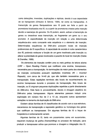 como delecções, inversões, duplicações e réplicas, devido à sua capacidade
de se transporem (Ohtsubo & Sekine, 1996), tal como os transposões. A
transcrição de genes flanqueadores aos IS pode ser feita a partir de
promotores localizados nos IS, ou a partir de promotores criados pela inserção
devido a rearranjos do genoma. Os IS podem, assim, activar a transcrição de
genes ou desactivar essa transcrição, ao fragmentar um gene ou o seu
promotor. A especificidade de inserção em relação a uma determinada
sequência-alvo varia consoante esta sequência e o elemento de inserção.
Determinadas sequências de DNA-alvo possuem locais de inserção
preferenciais de IS específicos. A capacidade de excisão é outra característica
dos IS, podendo restaurar a função de um gene inactivado pela inserção ou
alterar a polaridade de genes localizados a jusante do local de inserção (Galas
& Chandler, 1989).
Os elementos de inserção contêm uma ou mais grelhas de leitura aberta
(ORF - Open Reading Frame) que codificam uma enzima, transposase,
necessária para a transposição. As terminações da maior parte dos elementos
de inserção conhecidos possuem repetições invertidas (IR - Inverted
Repeats), com cerca de 14-40 pb, que são também necessárias para a
transposição. Estas repetições terminais são locais de reconhecimento da
enzima transposase durante o processo de transposição. Nos locais de
inserção, os IS originam pequenas duplicações repetidas a partir directamente
do DNA-alvo. Este facto é, provavelmente, devido à clivagem aleatória do
DNA-alvo pelas transposases. Alguns elementos parecem induzir uma
duplicação em número fixo de 2 a 13 pb, enquanto outros apresentam
variações no tamanho da duplicação do DNA-alvo.
Existem várias famflias de IS classificadas de acordo com a sua estrutura,
mecanismos de transposição e expressão genética ou homologia dos genes
que codificam as transposases. Em algumas famílias de IS o leque de
hospedeiros é extremamente variado.
Algumas famílias de IS, tanto em procariontes como em eucariontes,
requerem mudança de grelha (frameshifting) no processo de tradução, para
produzir a transposase activa que promove a clivagem e integração dos IS.
Introdução Geral 14
 