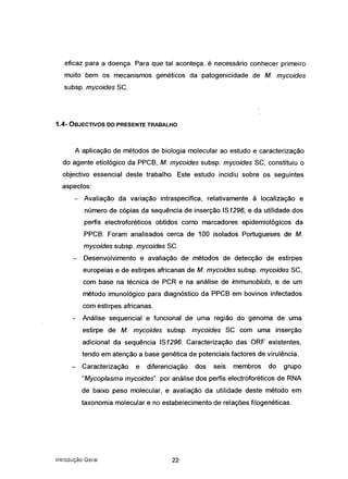 eficaz para a doença. Para que tal aconteça, é necessário conhecer primeiro
muito bem os mecanismos genéticos da patogenicidade de M. mycoides
subsp. mycoides SC.
1.4- OBJECTIVOS DO PRESENTE TRABALHO
A aplicação de métodos de biologia molecular ao estudo e caracterização
do agente etiológico da PPCS, M. mycoides subsp. mycoides SC, constituiu o
objectivo essencial deste trabalho. Este estudo incidiu sobre os seguintes
aspectos:
Avaliação da variação intraspecífica, relativamente à localização e
número de cópias da sequência de inserção IS1296, e da utilidade dos
perfis electroforéticos obtidos como marcadores epidemiológicos da
PPCS. Foram analisados cerca de 100 isolados Portugueses de M.
mycoides subsp. mycoides SC.
- Desenvolvimento e avaliação de métodos de detecção de estirpes
europeias e de estirpes africanas de M. mycoides subsp. mycoides SC,
com base na técnica de PCR e na análise de immunoblots, e de um
método imunológico para diagnóstico da PPCS em bovinos infectados
com estirpes africanas.
Análise sequencial e funcional de uma região do genoma de uma
estirpe de M. mycoides subsp. mycoides SC com uma inserção
adicional da sequência IS1296. Caracterização das ORF existentes,
tendo em atenção a base genética de potenciais factores de virulência.
Caracterização e diferenciação dos seis membros do grupo
"Mycoplasma mycoides" por análise dos perfis electroforéticos de RNA
de baixo peso molecular, e avaliação da utilidade deste método em
taxonomia molecular e no estabelecimento de relações filogenéticas.
introdução Geral 22
 