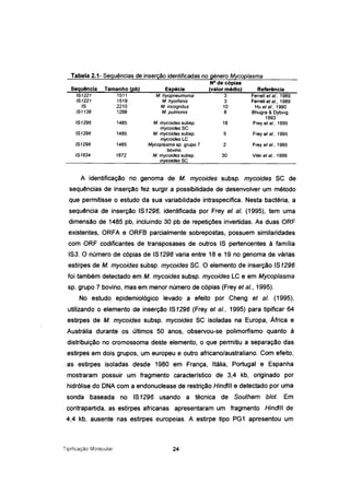 Tabela 2.1- Seguências de inserção identificadas no géneroMycoplasma
151296 1485 M. mycoides subsp. 18
mycoides5C
151296 1485 M. mycoides subsp. 5
mycoides LC
151296 1485 Mycoplasma sp. grupo 7 2
bovino
151634 1872 M. mycoides subsp. 30
mycoides5C
Sequência
151221
151221
15
i51138
Tamanho <pb)
1511
1519
2210
1288
Espécie
M. hyopneumonia
M. hyorhinis
M. incognitus
M. pulmonis
N° de cópias
(valor médio)
3
3
10
8
Referência
Ferrell et et., 1989
Ferrell et et., 1989
Hu et ai., 1990
Bhugra & Dybvig,
1993
Frey et st., 1995
Frey et ai., 1995
Frey et et., 1995
Vilei et et., 1999
A identificação no genoma de M. mycoides subsp. mycoides 5C de
sequências de inserção fez surgir a possibilidade de desenvolver um método
que permitisse o estudo da sua variabilidade intraspecífica. Nesta bactéria, a
sequência de inserção 151296, identificada por Frey et alo (1995), tem uma
dimensão de 1485 pb, incluindo 30 pb de repetições invertidas. As duas aRF
existentes, aRFA e aRFB parcialmente sobrepostas, possuem similaridades
com aRF codificantes de transposases de outros IS pertencentes à família
153. a número de cópias de 151296 varia entre 18 e 19 no genoma de várias
estirpes de M. mycoides subsp. mycoides 5C. a elemento de inserção 151296
foi também detectado em M. mycoides subsp. mycoides LC e em Mycop/asma
sp, grupo 7 bovino, mas em menor número de cópias (Frey et a/., 1995).
No estudo epidemiológico levado a efeito por Cheng et alo (1995),
utilizando o elemento de inserção 151296 (Frey et a/., 1995) para tipificar 64
estirpes de M. mycoides subsp. mycoides 5C isoladas na Europa, África e
Austrália durante os últimos 50 anos, observou-se polimorfismo quanto à
distribuição no cromossoma deste elemento, o que permitiu a separação das
estirpes em dois grupos, um europeu e outro africano/australiano. Com efeito,
as estirpes isoladas desde 1980 em França, Itália, Portugal e Espanha
mostraram possuir um fragmento característico de 3,4 kb, originado por
hidrólise do DNA com a endonuclease de restrição Hindlll e detectado por uma
sonda baseada no IS1296 usando a técnica de Southem b/ot. Em
contrapartida, as estirpes africanas apresentaram um fragmento Hindlll de
4,4 kb, ausente nas estirpes europeias. A estirpe tipo PG1 apresentou um
Tipificação Molecular 24
 