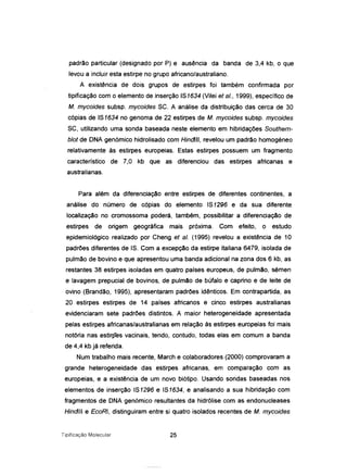 padrão particular (designado por P) e ausência da banda de 3,4 kb, o que
levou a incluir esta estirpe no grupo africano/australiano.
A existência de dois grupos de estirpes foi também confirmada por
tipificação com o elemento de inserção 151634(Vilei et ai., 1999), específico de
M. mycoides subsp. mycoides SC. A análise da distribuição das cerca de 30
cópias de IS1634 no genoma de 22 estirpes de M. mycoides subsp. mycoides
SC, utilizando uma sonda baseada neste elemento em hibridações Southem-
blot de DNA genómico hidrolisado com HindJlI, revelou um padrão homogéneo
relativamente às estirpes europeias. Estas estirpes possuem um fragmento
característico de 7,0 kb que as diferenciou das estirpes africanas e
australianas.
Para além da diferenciação entre estirpes de diferentes continentes, a
análise do número de cópias do elemento IS1296 e da sua diferente
localização no cromossoma poderá, também, possibilitar a diferenciação de
estirpes de origem geográfica mais próxima. Com efeito, o estudo
epidemiológico realizado por Cheng et alo (1995) revelou a existência de 10
padrões diferentes de IS. Com a excepção da estirpe italiana 6479, isolada de
pulmão de bovino e que apresentou uma banda adicional na zona dos 6 kb, as
restantes 38 estirpes isoladas em quatro países europeus, de pulmão, sémen
e lavagem prepucial de bovinos, de pulmão de búfalo e caprino e de leite de
ovino (Brandão, 1995), apresentaram padrões idênticos. Em contrapartida, as
20 estirpes estirpes de 14 países africanos e cinco estirpes australianas
evidenciaram sete padrões distintos. A maior heterogeneidade apresentada
pelas estirpes africanas/australianas em relação às estirpes europeias foi mais
notória nas estirpes vacinais, tendo, contudo, todas elas em comum a banda
de 4,4 kb já referida.
Num trabalho mais recente, March e colaboradores (2000) comprovaram a
grande heterogeneidade das estirpes africanas, em comparação com as
europeias, e a existência de um novo biótipo. Usando sondas baseadas nos
elementos de inserção 151296 e 151634, e analisando a sua hibridação com
fragmentos de DNA genómico resultantes da hidrólise com as endonucleases
Hindlll e EcoRI, distinguiram entre si quatro isolados recentes de M. mycoides
Tipificação Molecular 25
 