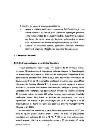 * * *
o objectivo do estudo a seguir apresentado foi:
i) Avaliar a utilidade da técnica combinada de RFLP e hibridação com
sonda baseada no IS1296 para identificar diferenças genéticas
entre várias estirpes de M. mycoides subsp. mycoides SC, isoladas
ao longo de cinco anos de bovinos pertencentes a várias
explorações nacionais em que se registaram surtos de PPCB;
ii) Analisar os resultados obtidos, apreciando possíveis inferências
relativas à origem da infecção e ao seu modo de propagação.
2.2- MATERIAIS E MÉTODOS
2.2.1- Estirpes analisadas e condições de cultura
Foram examinadas neste estudo 105 estirpes de M. mycoides subsp.
mycoides SC pertencentes à colecção de culturas existente no Departamento
de Bacteriologia do Laboratório Nacional de Investigação Veterinária. Estas
estirpes foram isoladas entre 1993 e 1998, a partir de pulmão e linfonódulos de
bovinos originários de 18 explorações localizadas em cinco áreas geográficas
diferentes de Portugal (Tabela 2.2). A estirpe africana Afadé e a estirpe
europeia L2, incluídas nos trabalhos realizados por Cheng et aI. (1995), foram
utilizadas como referências. Os isolados foram previamente identificados como
M. mycoides subsp. mycoides SC pelos métodos convencionais, incluindo
morfologia, testes bioquímicos e inibição de crescimento com soros
hiperimunes de coelho, e por amplificação por PCR da região CAP-21
(Bashiruddin et aI., 1994) e do gene que codifica a proteína imunogénica P72
(Miserez et aI., 1996).
As estirpes foram inoculadas, a partir de culturas conservadas a -70°C, em
meio B líquido (Heart Infusion Broth - Difco). O meio foi previamente
esterilizado em autoclave 20 min a 121°C. A 100 mi de meio adicionou-se,
assepticamente, 20 mi de soro de cavalo inactivado 30 min a 56°C, 10 mI de
Tipificação Molecular 27
 