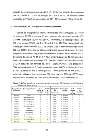 solução de extracto de levedura a 25% p/v, 0,25 mi de solução de penicilina a
200 000 UI/mi e 1,2 mi de solução de DNA a 0,2%. As culturas foram
incubadas a 37°C até uma densidade de 10
8
- 10
9
células/mi (D0540=0,5-0,7).
2.2.2- Preparação de DNA genõmico de micoplasmas
Células de micoplasmas foram sedimentadas por centrifugação de 10 mi
de cultura a 13 000 g, durante 15 min, lavadas três vezes em tampão TES
(10 mM Tris.HCI pH 7,9, 0,1 mM EDTA, 140 mM NaCI) e ressuspendidas em
100 IJI de tampão TE (10 mM Tris.HCI pH7,9, 0,1 mM EDTA). As células foram
lisadas, por incubação com 500 IJI de tampão GES (5 M tiocianato de guanídio,
100 mM EDTA, 0,5% p/v sal sódico de N-Iauroil sarcosina) durante 10 min à
temperatura ambiente, seguida de arrefecimento em gelo e mistura com 250 IJI
de acetato de amónio 7,5 M, pH 7,7. Após uma incubação de 10 min no gelo, o
lisado foi extraído três vezes com 500 IJI de fenol:clorofórmio:álcool isoamílico
(25:24:1 saturado com tampão TE, pH 8 - Sigma P-2069). Para precipitar o
DNA foram adicionados 0,7 volumes de isopropanol (4°C), a mistura incubada
a -75°C durante 30 min e centrifugada a 13 000 9 durante 15 min a 4°C. O
sedimento foi lavado duas vezes com 500 IJI de etanol a 80% v/v (-20°C), seco
à temperatura ambiente e o DNA ressuspendido em 100 IJI de tampão TE.
Tabela 2.2-Estirpes de M. mycoides subsp. mycoides se isoladas em Portugal e
analisadas neste estudo
Estirpe/Ano de ExploraçãolDistrito N° de Padrão Estirpe/Ano Exploração/ N° de Padrão
isolamento cópias de de de Distrito cópias de
IS1296 IS1296 isolamento de IS1296"
a
IS1296
8345/93 Porto 18 E1 105/97 Sr' Tirso/Porto 18 E1
8675/93 Mirandela/Bragança 18 E1 327/97 StO
Tirso/Porto 18 E1
356/93 Mirandela/Bragança 18 E1 328/97 Sr' Tirso/Parto 18 E1
357P/93 Mirandela/Bragança 18 E1 340/97 Sr' Tirso/Parto 18 E1
358G/93 Mirandela/Bragança 18 E1 342/97 Sr' Tirso/Porto 18 E1
358P/93 Mirandela/Bragança 18 E1 345/97 Sr' Tirso/Porto 18 E1
1483/93 Aveiro 18 E1 347/97 Sr' Tirso/Porto 18 E1
7532P/93 Estarreja/Aveiro 18 E1 351/97 Sr' Tirso/Porto 18 E1
10984/93 Estarreja/Aveiro 18 E1 352/97 Sr' Tirso/Porto 18 E1
B529/93 O. Azeméis/Aveiro 18 E1 353/97 StO
Tirso/Porto 18 E1
B674/93 Mirandela/Bragança 18 E1 355/97 Sr' TirsolPorto 18 E1
B676P/93 Mirandela/Bragança 19 E2 358/97 Sr' Tirso/Porto 18 E1
8991/93 Aveiro 18 E1 363/97 Guimarães 18 E1
Tipificaç áo Molecular 28
 