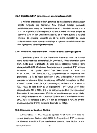2.2.3- Digestão de DNA genómico com a endonuclease Hindlll
A hidrólise enzimática do DNA genórnico de micoplasma foi efectuada em
tampão fornecido pelo fabricante (New England Biolabs), incubando
aproximadamente 500 ng de DNA genómico e 20 U de Hindlll durante 1,5 h a
37°C. Os fragmentos foram separados por electroforese horizontal em gel de
agarose a 0,7% p/v com uma dimensão de 1°cm x 1°cm, durante 3 h a uma
diferença de potencial constante de 90 V. Como marcador de pesos
moleculares utilizou-se DNA de bacteriófago À digerido com Hindlll e marcado
com digoxigenina (Boehringer Mannheim).
2.2.4- Preparação de sonda de DNA - 151296 - marcada com digoxigenina
O plasmídeo pJFFsc1a5, que contém um fragmento EcoRI de 828 bp
duma região interna do elemento 181296 (Frey et aI., 1995), foi utilizado como
DNA molde para a produção de uma sonda específica marcada com
digoxigenina11-dUTP (Boehringer Mannheim) numa reacção de PCR com os
iniciadores T38 (5'-AATTAACCCTCACTAAAGGG-3') e T78 (5'-
GTAATACGACTCACTATAGGGC- 3'), complementares às sequências dos
promotores T3 e T7 do vector pBluescript II 8K(-) (8tratagene). A reacção de
marcação consistiu em 100 pg de plasmídeo p..IFFsc1a5 num volume de 50 ul,
contendo 10 mM Tris.HCI pH 9,0, 1,5 mM MgCI2, 50 mM KCI, 0,1% Triton X-
100, 170 !lM de cada dNTP, 50 !lM digoxigenina-11-dUTP, 0,25 IlM de cada
oligonucleótido T38 e T78 e 2,5 U de polimerase de DNA Taq (Boehringer
Mannheim). A reacção envolveu 35 ciclos de amplificação num termociclador
PTC-100 (M J Research, Inc.). Cada ciclo consistiu em 30 s de desnaturação a
94°C, 30 s de hibridação a 56°C e 1 min de elonqação a 72°C. O produto
amplificado (sonda 181296) tinha uma dimensão de 994 pb.
2.2.5- Hibridação por Southem blotting
A transferência de DNA do gel de agarose foi efectuada com base no
método descrito por Southern et aI (1975). Os fragmentos de DNA resultantes
de diqestão enzimática foram previamente clivados, para facilitar a sua
Tipificação Molecular 30
 