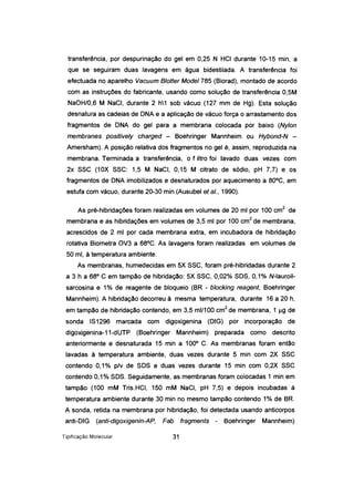 transferência, por despurinação do gel em 0,25 N HCI durante 10-15 min, a
que se seguiram duas lavagens em água bidestilada. A transferência foi
efectuada no aparelho Vacuum S/otter Model 785 (Biorad), montado de acordo
com as instruções do fabricante, usando como solução de transferência 0,5M
NaOH/0,6 M NaCI, durante 2 h1 sob vácuo (127 mm de Hg). Esta solução
desnatura ascadeías de ONA e a aplicação de vácuo força o arrastamento dos
fragmentos de ONA do gel para a membrana colocada por baixo (Nylon
membranes positively charged - Boehringer Mannheim ou Hybond-N -
Amersham). A posição relativa dos fragmentos no gel é, assim, reproduzida na
membrana. Terminada a transferência, o filtro foi lavado duas vezes com
2x SSC (10X SSC: 1,5 M NaCI, 0,15 M citrato de sódio, pH 7,7) e os
fragmentos de ONA imobilizados e desnaturados por aquecimento a 80°C, em
estufa com vácuo, durante 20-30 min (Ausubel et aI., 1990).
As pré-hibridações foram realizadas em volumes de 20 mI por 100 cm
2
de
membrana e as hibridações em volumes de 3,5 mi por 100 cm
2
de membrana,
acrescidos de 2 mi por cada membrana extra, em incubadora de hibridação
rotativa Biometra OV3 a 68°C. As lavagens foram realizadas em volumes de
50 mi, à temperatura ambiente.
As membranas, humedecidas em 5X SSC, foram pré-hibridadas durante 2
a 3 h a 68° C em tampão de hibridação: 5X SSC, 0,02% SOS, 0,1% N-Iauroil-
sarcosina e 1% de reagente de bloqueio (BR - blocking reagent, Boehringer
Mannheim). A hibridação decorreu à mesma temperatura, durante 16 a 20 h,
em tampão de hibridação contendo, em 3,5 ml/100 cm
2de
membrana, 1 J..lg de
sonda IS1296 marcada com digoxigenina (OIG) por incorporação de
digoxigenina-11-dUTP (Boehringer Mannheim) preparada como descrito
anteriormente e desnaturada 15 min a 100° C. As membranas foram então
lavadas à temperatura ambiente, duas vezes durante 5 min com 2X SSC
contendo 0,1% p/v de SOS e duas vezes durante 15 min com 0,2X SSC
contendo 0,1% SOS. Seguidamente, as membranas foram colocadas 1 min em
tampão (100 mM Tris.HCI, 150 mM NaCI, pH 7,5) e depois incubadas à
temperatura ambiente durante 30 min no mesmo tampão contendo 1% de BR.
A sonda, retida na membrana por hibridação, foi detectada usando anticorpos
anti-OIG (anti-digoxigenin-AP, Fab fragments - Boehringer Mannheim)
Tipificação Molecular 31
 