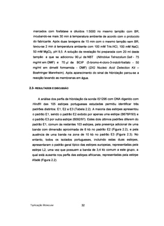 marcados com fosfatase e diluídos 1:5000 no mesmo tampão com BR,
incubando-se mais 30 min à temperatura ambiente de acordo com o protocolo
do fabricante. Após duas lavagens de 15 min com o mesmo tampão sem BR,
lavou-se 2 min à temperatura ambiente com 100 mM Tris.HCI, 100 mM NaCI,
50 mM MgCI2, pH 9,5. A solução de revelação foi preparada com 20 mi deste
tampão a que se adicionou 90 J.l.1 de NBT (Nitrobfue Tetrazolium 8aft - 75
mg/ml em DMF) e 70 J.l.1 de BCIP (5-bromo-4-c1oro-3-indolil-fosfato - 50
mg/ml em dimetil formamida - DMF) (DfG Nucfeic Acid Detection Kit -
Boehringer Mannheim). Após aparecimento do sinal de hibridação parou-se a
reacção lavando as membranas em água.
2.3- RESULTADOS E DISCUSSÃO
A análise dos perfis de hibridação da sonda 181296com DNA digerido com
Hindlll das 105 estirpes portuguesas estudadas permitiu identificar três
padrões distintos: E1, E2 e E3 (Tabela 2.2). A maioria das estirpes apresentou
o padrão E1, sendo o padrão E2 exibido por apenas uma estirpe (B676P/93) e
o padrão E3 por outra estirpe (6092197). Estes dois últimos padrões diferem do
padrão E1, comum às restantes 103 estirpes, pela presença adicional de uma
banda com dimensão aproximada de 6 kb no padrão E2 (Figura 2.2), e pela
ausência de uma banda na zona de 10 kb no padrão E3 (Figura 2.3). No
entanto, todos os isolados portugueses, incluindo estas duas estirpes,
apresentaram o padrão geral típico das estirpes europeias, representadas pela
estirpe L2, uma vez que possuem a banda de 3,4 kb comum a este grupo, a
qual está ausente nos perfis das estirpes africanas, representadas pela estirpe
Afadé (Figura 2.2).
Tipificação Molecular 32
 