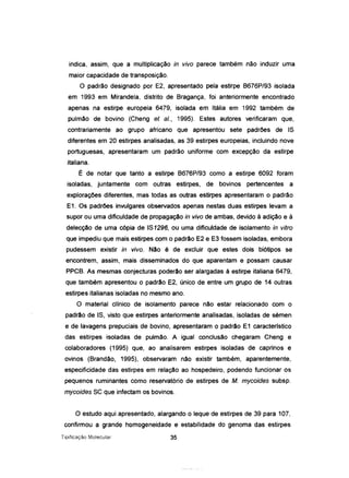indica, assim, que a multiplicação in vivo parece também não induzir uma
maior capacidade de transposição.
O padrão designado por E2, apresentado pela estirpe B676P/93 isolada
em 1993 em Mirandela, distrito de Bragança, foi anteriormente encontrado
apenas na estirpe europeia 6479, isolada em Itália em 1992 também de
pulmão de bovino (Cheng et aI., 1995). Estes autores verificaram que,
contrariamente ao grupo africano que apresentou sete padrões de IS
diferentes em 20 estirpes analisadas, as 39 estirpes europeias, incluindo nove
portuguesas, apresentaram um padrão uniforme com excepção da estirpe
italiana.
É de notar que tanto a estirpe B676P/93 como a estirpe 6092 foram
isoladas, juntamente com outras estirpes, de bovinos pertencentes a
explorações diferentes, mas todas as outras estirpes apresentaram o padrão
E1. Os padrões invulgares observados apenas nestas duas estirpes levam a
supor ou uma dificuldade de propagação in vivo de ambas, devido à adição e à
detecção de uma cópia de IS1296, ou uma dificuldade de isolamento in vitro
que impediu que mais estirpes com o padrão E2 e E3 fossem isoladas, embora
pudessem existir in vivo. Não é de excluir que estes dois biótipos se
encontrem, assim, mais disseminados do que aparentam e possam causar
PPCB. As mesmas conjecturas poderão ser alargadas à estirpe italiana 6479,
que também apresentou o padrão E2, único de entre um grupo de 14 outras
estirpes italianas isoladas no mesmo ano.
O material clínico de isolamento parece não estar relacionado com o
padrão de IS, visto que estirpes anteriormente analisadas, isoladas de sémen
e de lavagens prepuciais de bovino, apresentaram o padrão E1 característico
das estirpes isoladas de pulmão. A igual conclusão chegaram Cheng e
colaboradores (1995) que, ao analisarem estirpes isoladas de caprinos e
ovinos (Brandão, 1995), observaram não existir também, aparentemente,
especificidade das estirpes em relação ao hospedeiro, podendo funcionar os
pequenos ruminantes como reservatório de estirpes de M. mycoides subsp.
mycoides SC que infectam os bovinos.
O estudo aqui apresentado, alargando o leque de estirpes de 39 para 107,
confirmou a grande homogeneidade e estabilidade do genoma das estirpes
Tipificação Molecular 35
 
