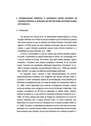 3. DIFERENCIAÇÃO GENÉTICA E ANTIGÉNICA ENTRE ESTIRPES DE
ORIGEM EUROPEIA E AFRICANA DE MYCOPLASMA MYCOIDES SUBSP.
MYCOIDESSC
3.1- INTRODUÇÃO
No decurso dos últimos anos, as observações epidemiológicas e clínicas
de gado infectado com PPCB na Europa revelaram que os sintomas da doença
são menos severos do que os referidos em Países Africanos. Para além deste
aspecto, a PPCB parece ser mais insidiosa na Europa, visto ser normalmente
crónica, o gado infectado apresentar poucos sinais clínicos evidentes e a
mortalidade ser baixa (Nicholas, et aI., 1996).
O clima, a alimentação e o tipo de maneio dos animais poderão explicar,
em parte, a severidade da doença observada em África, em comparação com
o que se verifica na Europa. No entanto, para além destes aspectos, alguns
resultados mostraram que estirpes europeias e africanas de M. mycoides
subsp. mycoides SC apresentam diferenças bioquímicas (Houshaymi et aI.,
1997) e induzem respostas imunes diferentes (Abdo et aI., 1998) que poderão
estar, também, na origem da diferente sintomatologia observada.
As respostas imune, humoral e local (traqueobrônquica), de bovinos
experimentalmente infectados com antigénios das estirpes africana Afadé e
europeia L2 foram analisadas através da imunodetecção (immunoblotting) de
diferentes imunoglobulinas (Ig) e do teste de fixação do complemento (Abdo et
aI., 1998). Foram detectadas oito proteínas imunogénicas principais, usando
ambas as estirpes como antigénios e soro bovino homólogo e heterólogo. Uma
proteína imunogénica de 98 kDa foi detectada na estirpe Afadé, estando
ausente na estirpe L2, o que confirmou resultados anteriores (Gonçalves et aI.,
1996). Os títulos obtidos pelo teste de fixação de complemento em soros de
bovinos infectados com a estirpe africana foram 16 vezes superiores aos
observados em soros de bovinos infectados com a estirpe europeia (Abdo et
aI., 1998). Em geral, a intensidade da resposta imune foi mais alta nos animais
infectados com a estirpe africana Afadé, os quais apresentaram seroconversão
duas semanas após infecção, do que nos infectados com a estirpe europeia L2
 