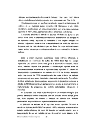 diferiram significativamente (Poumarat & Solsona, 1994; idem, 1995). Neste
último estudo foi possível distinguir entre si as estirpes vacinais T1 e KH3J.
Estudos posteriores, em que foram analisados os perfis antigénicos de 60
estirpes de M. mycoides subsp. mycoides SC (Gonçalves et aI., 1998),
revelaram a existência de um antigénio dominante com uma massa molecular
aparente de 70/71,5 kDa, apenas nas estirpes africanas e australianas.
A evolução diferente da PPCB nos bovinos infectados na Europa e em
África, assim como as diferentes características apresentadas por estirpes de
M. mycoides subsp. mycoides SC consoante a sua origem europeia ou
africana, suportam a ideia de que o reaparecimento de surtos de PPCB na
Europa a partir de 1980 não teve origem em África. Os novos surtos europeus
devem ter tido outra origem, muito provavelmente num reservatório ainda não
definido.
Dada a maior virulência evidenciada pelas estirpes africanas, a
probabilidade de ocorrência de surtos de PPCB deste tipo na Europa
representa uma ameaça ainda mais grave à bovinicultura europeia. Deste
modo, métodos rápidos que permitam a diferenciação rigorosa entre as
estirpes europeias e africanas de M. mycoides subsp. mycoides SC, devem ser
desenvolvidos e considerados no controlo da PPCB na Europa, evitando,
assim, que surtos de PPCB causados pelo tipo mais virulento de estirpes
possam ocorrer sem serem detectados, alastrando rapidamente. Com efeito,
devido à globalização dos mercados e ao aumento de trocas internacionais, a
difusão da PPCB representa um perigo renovado e exige o desenvolvimento e
implementação de programas de controlo actualizados, adequados e
eficientes.
Por outro lado, será ainda muito útil dispor de um método serológico que
permita diferenciar bovinos infectados com um ou outro tipo de estirpe, para
que, num programa de rastreio, a infecção de bovinos com estirpes
pertencentes ao grupo africano seja atempadamente detectada.
A tipificação de estirpes de M. mycoides subsp. mycoides SC com a
sequência de inserção IS1296 (Cheng et aI., 1995), adequada a determinados
estudos epidemiológicos, tal como foi descrito no capítulo anterior, tem o
inconveniente de ser um método moroso, de envolver vários passos, e de
Diferenciação Genética e Antigénica 39
 