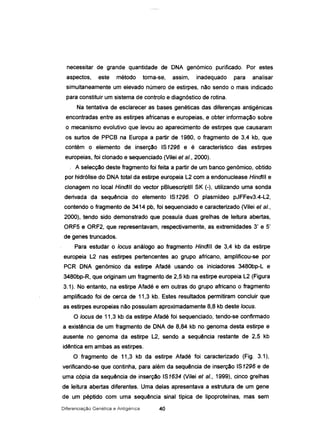 necessitar de grande quantidade de DNA genómico purificado. Por estes
aspectos, este método torna-se, assim, inadequado para analisar
simultaneamente um elevado número de estirpes. não sendo o mais indicado
para constituir um sistema de controlo e diagnóstico de rotina.
Na tentativa de esclarecer as bases genéticas das diferenças antigénicas
encontradas entre as estirpes africanas e europeias, e obter informação sobre
o mecanismo evolutivo que levou ao aparecimento de estirpes que causaram
os surtos de PPCB na Europa a partir de 1980, o fragmento de 3,4 kb, que
contém o elemento de inserção 181296 e é característico das estirpes
europeias, foi clonado e sequenciado (Vilei ataI., 2000).
. A selecção deste fragmento foi feita a partir de um banco genómico, obtido
por hidrólise do DNA total da estirpe europeia L2 com a endonuclease Hindlll e
clonagem no local Hindlll do vector pBluescriptll 8K (-), utilizando uma sonda
derivada da sequência do elemento 181296. O plasmideo p..IFFev3.4-L2,
contendo o fragmento de 3414 pb, foi sequenciado e caracterizado (Vilei at aI.,
2000), tendo sido demonstrado que possuia duas grelhas de leitura abertas,
ORF5 e ORF2, que representavam, respectivamente, as extremidades 3' e 5'
de genes truncados.
Para estudar o loeus análogo ao fragmento Hindlll de 3,4 kb da estirpe
europeia L2 nas estirpes pertencentes ao grupo africano, amplificou-se por
PCR DNA genómico da estirpe Afadé usando os iniciadores 3480bp-L e
3480bp-R, que originam um fragmento de 2,5 kb na estirpe europeia L2 (Figura
3.1). No entanto, na estirpe Afadé e em outras do grupo africano o fragmento
amplificado foi de cerca de 11,3 kb. Estes resultados permitiram concluir que
as estirpes europeias não possuíam aproximadamente 8,8 kb deste loeus.
O loeus de 11,3 kb da estirpe Afadé foi sequenciado, tendo-se confirmado
a existência de um fragmento de DNA de 8,84 kb no genoma desta estirpe e
ausente no genoma da estirpe L2, sendo a sequência restante de 2,5 kb
idêntica em.ambas as estirpes.
O fragmento de 11,3 kb da estirpe Afadé foi caracterizado (Fig. 3.1),
verificando-se que continha, para além da sequência de inserção 181296 e de
uma cópia da sequência de inserção 181634 (Vilei at aI., 1999), cinco grelhas
de leitura abertas diferentes. Uma delas apresentava a estrutura de um gene
de um péptido com uma sequência sinal típica de lípoprotelnas, mas sem
Diferenciação Genética e Antigénica 40
 