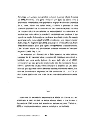 homologia com qualquer outro produto conhecido (segundo a base de dados
do EMBUGenBank). Este gene, designado por IppB, de acordo com a
proposta de nomenclatura para Iipoproteínas do grupo M. mycoides (Monnerat
et aI., 1999), possuí seis codões UGATrp e codifica o precursor de uma
potencial Iipoproteína de 622 aminoácidos. Esta lipoproteína possui um local
de clivagem típico de procariontes, na sequência-sinal na extremidade N-
terminal após o aminoácido na posição 23, reconhecido pela peptidase II, que
permitirá a ligação da lipoproteína membranar a um Iípido. Assim, foi previsto
que a lipoproteína madura LppB teria 599 aminoácidos e uma massa molecular
de 67,4 kDa. No fragmento de 8,84 kb, exclusivo das estirpes africanas, foram
ainda identificados os genes gstB e gstC, correspondentes a, respectivamente,
ORF2 e ORF3 (Figura 3.1), que codificam proteínas envolvidas no transporte
de glicerol (Vilei & Frey, 2001).
Ao analisarem por Southem blot o DNA genómico de várias estirpes
europeias de M. mycoides subsp. mycoides SC, hidrolisado com Hindlll e
hibridado com uma sonda derivada do gene IppB, Vilei et aI. (2000)
comprovaram que este gene não existia noutro local do cromossoma dessas
estirpes. Semelhante estudo permitiu comprovar a existência de uma cópia
única do gene IppB nas estirpes africanas testadas pelo mesmo método, nas
quais se observaram os fragmentos de DNA previstos de 0,4, 1,0 e 3,9, kb,
visto o gene IppB conter dois locais de reconhecimento pela endonuclease
Hindll!.
* * *
Com base no resultado da sequenciação e análise do locus de 11,3 kb
amplificado a partir do DNA da estirpe africana Afadé, o qual contém o
fragmento de 8841 pb que está ausente nas estirpes europeias (Vilei et aI.,
2000), o estudo apresentado no presente capítulo teve por finalidade:
Diferenciação Genética e Antigénica 41
 