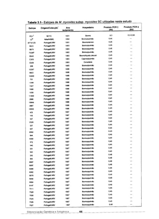 Tabela 3.1- Estirpes de M. mycoides subso. mycoides se utilizadas neste estudo
Estirpe Origem/Colecção Ano Hospedeiro Produto PCR t Produto PCR :l:
isolamento Ikbl (kb)
PG1
T
NCTC 1931 Bovino 9,3 0,3+2,65
L2
R ltáliallVBBE 1992 Bovino/pulmão 0,45
B7731125 PortugaVlNIV 1991 Bovino/sémen 0,45
B421 PortugaVLNIV 1993 Bovino/pulmão 0,45
B675 PortugaVlNIV 1993 Bovino/pulmão 0,45
7529P PortugaVLNIV 1993 Bovino/pulmão 0,45
B345 PortugaVlNIV 1993 Bovinollíquido pleural 0,45
C305 PortugaVLNIV 1993 Caprino/pulmão 0.45
0326 PortugaVLNIV 1993 Ovinol1eite 0,45
268 PortugaVLNIV 1995 Bovino/pulmão 0,45
10297 PortugaVlNIV 1996 Bovino/pulmao 0.45
9503 PortugaVlNIV 1996 Bovino/pulmão 0,45
10269 PortugaVlNIV 1996 Bovino/pulmão 0.45
751 PortugaVlNIV 1996 Bovino/pulmão 0.45
1348 PortugaVlNIV 1996 Bovino/pulmão 0.45
1347 PortugaVlNIV 1996 Bovino/pulmão 0,45
1566 PortugallLNIV 1996 Bovino/pulmão 0,45
1559 PortugaVlNIV 1996 Bovino/pulmão 0,45
11069 PortugallLNIV 1996 Bovino/pulmão 0,45
2886 PortugaVlNIV 1996 Bovino/pulmão 0,45
10644 Portugal!LNIV 1996 Bovino/pulmao 0,45
2887 PortugaVlNIV 1996 Bovino/pulmão 0,45
10055 PortugaVLNIV 1996 Bovino/pulmao 0.45
425 PortugaVLNIV 1997 Bovino/pulmão 0.45
105 PortugaVLNIV 1997 Bovino/pulmão 0,45
347 PortugallLNIV 1997 Bovino/pulmão 0,45
2329 PortugaVLNIV 1997 Bovino/pulmão 0,45
327 PortugaVLNIV 1997 Bovino/pulmão 0.45
427 PortugaVLNIV 1997 Bovino/pulmao 0,45
6092 PortugaVLNIV 1997 Bovino/pulmão 0,45
844 PortugaVLNIV 1997 Bovino/pulmão 0.45
4300 PortugaVLNIV 1997 Bovino/pulmao 0.45
372 portugaVLN IV 1997 Bovino/pulmão 0,45
340 portugaVLNIV 1997 Bovino/pulmão 0,45
351 PortugaVLNIV 1997 Bovino/pulmão 0.45
342 PortugaVLNIV 1997 Bovino/pulmao 0,45
353 portugaVLN IV 1997 Bovino/pulmão 0.45
363 PortugaVLNIV 1997 Bovino/pulmão 0,45
6087 PortugaVLNIV 1997 Bovino/pulmão 0,45
6097 PortugaVLNIV 1997 Bovino/pulmao 0.45
6085 PortugaVlNIV 1997 Bovino/pulmão 0,45
6082 PortugallLNIV 1997 Bovino/pulmão 0,45
6078 portugaVlNIV 1997 Bovino/pulmão 0,45
6094 PortugallLNIV 1997 Bovino/pulmão 0.45
6084 PortugaVLNIV 1997 Bovino/pulmão 0.45
6147 PortugallLNIV 1997 Bovino/pulmão 0,45
7511 portugaVlNIV 1997 Bovino/pulmão 0,45
7528 portugaVLNIV 1997 Bovino/pulmão 0.45
7508 portugaVLNIV 1997 Bovino/pulmão 0,45
7525 PortugaVLNIV 1997 Bovino/pulmão 0,45
7526 PortugaVLNIV 1997 Bovino/pulmão 0,45
7527 PortugaVLNIV 1997 Bovino/pulmão 0.45
Diferenciação Genética e Antigénica 44
 