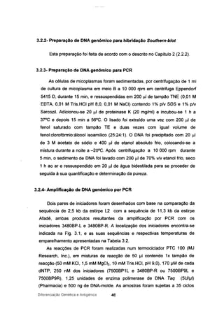 3.2.2- Preparação de DNA genómico para hibridação Southern-blot
Esta preparação foi feita de acordo com o descrito no Capitulo 2 (2.2.2).
3.2.3- Preparação de DNA genómico para PCR
As células de micoplasmas foram sedimentadas, por centrifugação de 1 mi
de cultura de micoplasma em meio B a 10 000 rpm em centrifuga Eppendorf
5415 O, durante 15 min, e ressuspendidas em 200 J.l1 de tampão TNE (0,01 M
EOTA, 0,01 M Tris.HCI pH 8,0, 0,01 M NaCI) contendo 1% p/v SOS e 1% p/v
Sarcozil. Adicionou-se 20 J.l1 de proteinase K (20 mg/rnl) e incubou-se 1 h a
37°C e depois 15 min a 56°C. O Iisado foi extraído uma vez com 200 J.l1 de
fenol saturado com tampão TE e duas vezes com igual volume de
fenol:c1orofórmio:álcool isoamilico (25:24:1). O ONA foi precipitado com 20 J.l1
de 3 M acetato de sódio e 400 J.l1 de etanol absoluto frio, colocando-se a
mistura durante a noite a -20°C. Após centrifugação a 10 000 rpm durante
5 rnin, o sedimento de ONA foi lavado com 200 J.l1 de 70% v/v etanol frio, seco
1 h ao ar e ressuspendido em 20 J.l1 de água bidestilada para se proceder de
seguida à sua quantificação e determinação da pureza.
3.2.4- Amplificação de DNA genómico por PCR
Dois pares de iniciadores foram desenhados com base na comparação da
sequência de 2,5 kb da estirpe L2 com a sequência de 11,3 kb da estirpe
Afadé, ambas produtos resultantes da amplificação por PCR com os
iniciadores 3480BP-L e 3480BP-R. A localização dos iniciadores encontra-se
indicada na Fig. 3.1, e as suas sequências e respectivas temperaturas de
emparelhamento apresentadas na Tabela 3.2.
As reacções de PCR foram realizadas num termociclador PTC 100 (MJ
Research, Inc.), em misturas de reacção de 50 IJI contendo 1x tampão de
reacção (50 mM KCI, 1,5 mM MgCI2, 10 mM Tris.HCI, pH 9,0), 170 IJM de cada
dNTP, 250 nM dos iniciadores (7500BP1L e 3480BP-R ou 7500BP9L e
7500BP9R), 1,25 unidades de enzima polimerase de ONA Taq (5U/IJI)
(Pharmacia) e 500 ng de ONA-molde. As amostras foram sujeitas a 35 ciclos
Diferenciação Genética e Antigénica 46
 