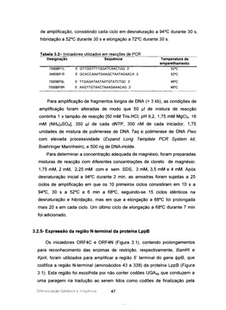 de amplificação, consistindo cada ciclo em desnaturação a 94°C durante 30 s,
hibridação a 52°C durante 30 s e elongação a 72°C durante 30 s.
Tabela 3.2- Iniciadores utilizados em reacções de PGR
Designação Sequência Temperatura de
emparelhamento
7500BP1L
3480BP-R
7500BP9L
7500BP9R
5' GTIGGTITTGGATCAACTGG 3'
5' GCACCAAATGAAGCTAATAGAACA 3'
5' TIGAGATAATAATGTATCTGC 3'
5' AAGTIGTAACTAAAGAAACAG 3'
Para amplificação de fragmentos longos de DNA (> 3 kb), as condições de
amplificação foram alteradas de modo que 50 ~I de mistura de reacção
continha 1 x tampão de reacção [50 mM Tris.HCI, pH 9,2, 1,75 mM MgCI2, 16
mM (NH4hS04], 350 IJI de cada dNTP, 300 nM de cada iniciador, 1,75
unidades de mistura de polimerase de DNA Taq e polimerase de DNA Pwo
com elevada processividade (Expand Long Template PGR System kit,
Boehringer Mannheim), e 500 ng de DNA-molde.
Para determinar a concentração adequada de magnésio, foram preparadas
misturas de reacção com diferentes concentrações de cloreto de magnésio:
1,75 mM, 2 mM, 2,25 mM com e sem SDS, 3 mM, 3,5 mM e 4 mM. Após
desnaturação inicial a 94°C durante 2 min, as amostras foram sujeitas a 25
ciclos de amplificação em que os 10 primeiros ciclos consistiram em 10 s a
94°C, 30 s a 52°C e 6 min a 68°C, seguindo-se 15 ciclos idênticos na
desnaturação e hibridação, mas em que a elongação a 68°C foi prolongada
mais 20 s em cada ciclo. Um último ciclo de elongação a 68°C durante 7 min
foi adicionado.
3.2.5- Expressão da região N-terminal da proteína LppB
Os iniciadores ORF4C e ORF4N (Figura 3.1), contendo prolongamentos
para reconhecimento das enzimas de restrição, respectivamente, BamHI e
Kpnl, foram utilizados para amplificar a região 5' terminal do gene IppB, que
codifica a região N-terminal (aminoácidos 43 a 338) da proteína LppB (Figura
3.1). Esta região foi escolhida por não conter codões UGAtrp que conduzem a
uma paragem na tradução ao serem lidos como codões de finalização pela
Diferenciacào Genética e ôntigéillca 47
 