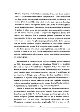 diferença antigénica característica manifestada pela ausência de um antigénio
de 70-71.5 kDa nas estirpes europeias (Gonçalves et aI., 1998), comparou-se,
em duas estirpes representativas de cada um dos grupos. um loeus de DNA
análogo (Vilei et aI., 2000). Este estudo revelou que o genoma da estirpe
europeia não possuía um segmento de DNA de 8,84 kb. A caracterização de
ambas as extremidades do fragmento na estirpe africana revelou a presença
de grelhas de leitura aberta que correspondiam a genes completos, enquanto
que na estirpe europeia apenas se encontraram fragmentos destas ORF
(Figura 3.1), indicando que a diferença genética observada foi muito
provavelmente devida a uma delecção que originou o grupo de estirpes
europeias. e não a uma inserção nas estirpes africanas. Estes dados sugerem
que as estirpes europeias poderão descender de uma estirpe ancestral
pertencente ao grupo africano de M. myeoides subsp. myeoides SC.
Os dados obtidos forneceram bases importantes para melhor se poder
controlar os surtos de PPCB na Europa, desenvolvendo métodos que permitem
distinguir rapidamente os dois grupos de estirpes e os bovinos infectados por
um ou outro grupo.
Relativamente ao primeiro objectivo proposto para este estudo, o sistema
de PCR desenvolvido, utilizando os iniciadores 7500BP1 L e 3480BPR
baseados nas regiões flanqueadoras do fragmento de 8,84 kb ausente nas
estirpes europeias, foí avaliado para uso em rotina na identificação de estirpes
de M. myeoides subsp. myeoides SC de origem europeia. A amplificação de
um fragmento de 450 pb é uma confirmação directa e específica de estirpes
europeias de M. myeoides subsp. myeoides SC, permitindo não só identificar a
espécie e sub-espécie como a origem da estirpe. Nas condições ensaiadas,
nenhuma outra estirpe testada apresentou produto de amplificação, incluindo
M. myeoides subsp. myeoides LC (J. Frey, comunicação pessoal).
Apenas as estirpes com resultado negativo nas condições experimentais
de rotina deverão ser testadas em condições especiais de elongação e mistura
de polimerases de DNA Taq I Pwo. Já nestas condições, para além das
estirpes europeias (produto amplificado com 450 pb) e africanas (produto
amplificado com 9,3 kb) outros micoplasmas pertencentes ao grupo
"Myeoplasma myeoides" apresentam amplificação. Tal é o caso de M.
Diferenciação Genética e Antigénica 62
 