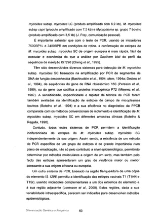 mycoides subsp. mycoides LC (produto amplificado com 6,9 kb), M. mycoides
subsp capri (produto amplificado com 7,5 kb) e Mycoplasma sp. grupo 7 bovino
(produto amplificado com 3,5 kb) (J. Frey, comunicação pessoal).
É importante salientar que com o teste de PCR, usando os iniciadores
7500BP1L e 3480BPR em condições de rotina, a confirmação de estirpes de
M. mycoides subsp. mycoides SC de origem europeia é mais rápida, fácil de
executar e económica do que a análise por Southem blot do perfil da
sequência de inserção IS1296 (Cheng et aI., 1995).
Têm sido desenvolvidos diversos sistemas para detecção de M. mycoides
subsp. mycoides SC baseados na amplificação por PCR de segmentos de
DNA de função desconhecida (Bashiruddin et aI., 1994; idem, 1994a; Dedieu et
aI., 1994), de sequências do gene de RNA ribossómico 16S(Persson et aI.,
1999), ou do gene que codifica a proteína imunogénica P72 (Miserez et aI.,
1997). A sensibilidade, especificidade e rapidez da técnica de PCR foram
também avaliadas na identificação de estirpes de campo de micoplasmas
bovinos (Botelho et aI., 1994) e a sua eficiência no diagnóstico da PPCB
comparada com os métodos convencionais de isolamento e identificação de M.
mycoides subsp. mycoides SC em diferentes amostras clínicas (Botelho &
Regalia, 1996).
Contudo, todos estes sistemas de PCR permitem a identificação
indiferenciada de estirpes de M. mycoides subsp. mycoides SC
independentemente da sua origem. Assim sendo, a existência de um método
de PCR específico de um grupo de estirpes é de grande importância num
plano de erradicação, não só pelo contributo a nível epidemiológico, permitindo
determinar por métodos moleculares a origem de um surto, mas também pelo
facto das estirpes apresentarem um grau de virulência maior ou menor
consoante a sua origem africana ou europeia.
Um outro sistema de PCR, baseado na região flanqueadora de uma cópia
do elemento IS 1296, permitiu a identificação das estirpes vacinais T1 (T1/44 e
T1Sr), usando iniciadores complementares a um dos extremos do elemento e
à sua região adjacente (Lorenzon et aI., 2000). Estas regiões, dada a sua
variabilidade intraespecífica, parecem ser indicadas para desenvolver métodos
epidemiológicos.
Diferenciação Genética e Antigénica 63
 