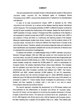SUMMARY
The work presented here consisted of basic molecular genetic studies of Mycoplasma
mycoides subsp. mycoides SC, the etiological agent of Contagious Bovine
Pleuropneumonia (CBPP), aiming at the deveJopment of methods for its characterisation
and detection.
ln view of its high socio-economic impact, CBPP is declared by the "Office
Intemational des Epizooties" as a serious animal disease requiring special intemational
control measures. The re-emerging outbreaks of CBPP in different European countries for
the last 20 years reveaJed the insidiousness of the disease. Despite the recent decline of
CBPP outbreaks in Europe, namely in Portugal since1993, surveillance of the disease is
still requested to maintain Europe free of CBPP in the future. On the other hand, CBPP is
still endemic in Africa and there is a continuous and alarming spread of the dísease.:
Molecular epidemiologícal studies have shown, however, that the endemic strains of M.
mycoides subsp. mycoides SC in Africa are different from those found in Europe at the
end of the last century. Therefore, specific and sensitive diagnostic tests and methods for
strain identification are requested to estabJish the sources and reservoirs of infectíons and
to understand the mechanisms of pathogenicity.
To address this problem, an epidemiological study of C8PP outbreaks occurring in
Northem Portugal between 1993 and 1998 was carried out. One hundred and five M.
mycoides subsp. mycoides SC isolates collected during this period were fingerprinted wíth
the insertion element 151296 (Cheng et ai, 1995). This analysis revealed that most of the
strains isolated, except two, showed the IS1296 pattem E1, which is characteristic for
European strains. No isolates resembling African strains were detected. This indicated
that ali outbreaks must have had their origin in Europe, from a common source that
contaminated also other European countries that suffered from C8PP. Two strains,
B676P/93 and 6092, showed particular 151296 pattems, E2 and E3 respectively,
eventually derived from the common European type E1. Strain 8676P/93 showed an
additional copy of IS1296 and strain 6092 appeared to have lost a copy of this element, as
compared to pattem E1. Future studies should investigate the performance of these
isolates and their capability to multiply, both in vitro and in vivo, and to induce
immunological response and produce infection.
The second approach comprised the development of a PCR-based method and
immunoblotting for the differentiation of European and African M. mycoides subsp.
mycoides SC straíns, with the objective of monitoring the possible introduction in Europe
of highly virulent African strains. The sarne pair of primers led to the amplification of a
9.3 kb DNA fragment with African strains and a 450 bp fragment with European strains,
the latter resulting from a specific 8.5 kb deletion (Vilei et el., 2000). This method was
 