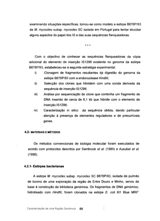 examinando situações específicas, tomou-se como modelo a estirpe 8676P/93
de M. mycoides subsp. mycoides SC isolada em Portugal para tentar elucidar
alguns aspectos do papel dos IS e das suas sequências flanqueadoras.
* * *
Com o objectivo de conhecer as sequências flanqueadoras da copia
adicional do elemento de inserção IS1296 existente no genoma da estirpe
8676P/93, estabeleceu-se a seguinte estratégia experimental:
i) Clonagem de fragmentos resultantes d~ digestão do genoma da
estirpe 8676P/93 com a endonuclease Hindlll;
ii) Selecção dos clones que hibridem com uma sonda derivada da
sequência de inserção IS1296;
iii) Análise por sequenciação do clone que contenha um fragmento de
DNA inserido de cerca de 6,1 kb que hibride com o elemento de
inserção IS1296;
iv) Caracterização in si/ico da sequência obtida, dando particular
atenção à presença de elementos reguladores e de presumíveis
genes.
4.2- MATERIAIS E MÉTODOS
Os métodos convencionais de biologia molecular foram executados de
acordo com protocolos descritos por Sambrook et aI. (1989) e Ausubel et aI.
(1990).
4.2.1- Estirpes bacterianas
A estirpe M. mycoides subsp. mycoides SC 8676P/93, isolada de pulmão
de bovino de uma exploração da região de Entre Douro e Minho, serviu de
base à construção da biblioteca genómica. Os fragmentos de DNA genómico,
hidrolisado com Hindlll, foram clonados na estirpe E. coli XI1 Blue MRF'
Caracterização de Lima Região Genómica 69
 