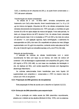 CaCI2 e distribuiu-se em allquotas de 200 IJI, as quais foram conservadas a -
70°C até serem utilizadas.
Transformação de células competentes
As células de E. coti XL1Blue MRF', tornadas competentes pelo
tratamento com CaCI2atrás descrito, foram transformadas com 5 a 10 IJI (10
Ilg) de mistura de ligação. Alíquotas de 200 IJI de células competentes foram
retiradas directamente da temperatura de -70°C para gelo, e mantidas em gelo
durante 30 a 60 min após adição da mistura de ligação. Findo este período, foi
dado um choque térmico de 42°C durante 2 mino As células foram colocadas
em gelo durante mais 2 min e incubadas a 37°C em 900 IJI de meio de cultura
LB durante 1 h, com agitação vigorosa. Após centrifugação, o sedimento foi
ressuspendido em 200 IJI de meio LB e espalhado em placas de meio LB/agar
suplementado com 50 IJg/ml de ampicilina, contendo ainda cada placa de Petri
40 IJI de X-Gal (20 mg/ml em dimetilformamida) e 25 IJI de IPTG (100 mM).
Selecção de transformantes
A selecção de colónias de células transformadas com o vector
recombinante foi feita com base na cor branca, em meio de cultura LB
contendo 1,5% de Bactoagar e suplementado com ampicilina (50 IJg/ml), X-Gal
(20 mg/ml) e IPTG (100 mM), ou com base nos resultados da hibridação in
situ, de réplicas em filtro, com sonda específica marcada com digoxigenina
(Boehringer Mannheim).
As colónias seleccionadas foram transferidas para meio líquido LB
suplementado com ampicilina e conservadas a -70°C no mesmo meio de
cultura com 15% v/v de glicerol.
4.2.3- Preparação de DNA genómico de micoplasmas
Esta preparação foi feita de acordo com o descrito no Capítulo 2 (2.2.2).
4.2.4- Extracção de DNA plasmídico para sequenciação
Para a produção em média escala de DNA plasmídico recombinante,
adoptou-se o método da lise alcalina (Birnboim & Doly, 1979), com os sistemas
Caracterização ele urna Região Genornica 71
 