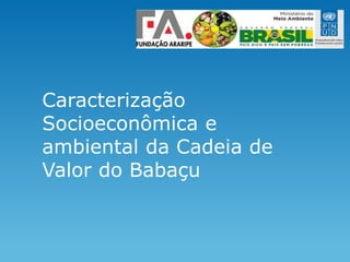 Caracterização
Socioeconômica e
ambiental da Cadeia de
Valor do Babaçu
 