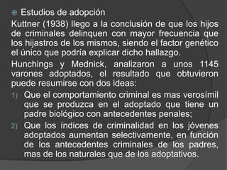  Estudios de adopción
Kuttner (1938) llego a la conclusión de que los hijos
de criminales delinquen con mayor frecuencia que
los hijastros de los mismos, siendo el factor genético
el único que podría explicar dicho hallazgo.
Hunchings y Mednick, analizaron a unos 1145
varones adoptados, el resultado que obtuvieron
puede resumirse con dos ideas:
1) Que el comportamiento criminal es mas verosímil
que se produzca en el adoptado que tiene un
padre biológico con antecedentes penales;
2) Que los índices de criminalidad en los jóvenes
adoptados aumentan selectivamente, en función
de los antecedentes criminales de los padres,
mas de los naturales que de los adoptativos.
 
