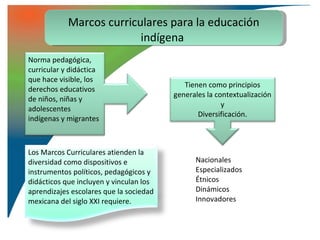 Marcos curriculares para la educación
                          indígena
Norma pedagógica,
curricular y didáctica
que hace visible, los
                                            Tienen como principios
derechos educativos
                                         generales la contextualización
de niños, niñas y
                                                        y
adolescentes
                                                Diversificación.
indígenas y migrantes



Los Marcos Curriculares atienden la
diversidad como dispositivos e                 Nacionales
instrumentos políticos, pedagógicos y          Especializados
didácticos que incluyen y vinculan los         Étnicos
aprendizajes escolares que la sociedad         Dinámicos
mexicana del siglo XXI requiere.               Innovadores
 