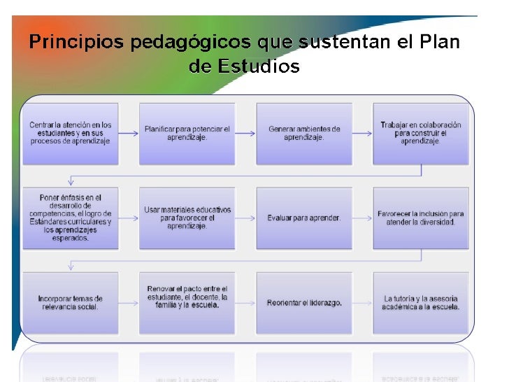 COMPETENCIAS PARA LA VIDA 
