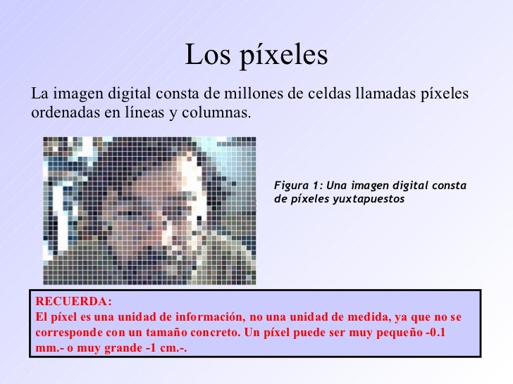 Características de la Imagen Digital Características de la Imagen Digital
