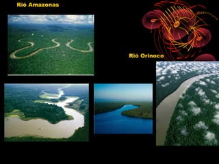 Rió Amazonas




               Rió Orinoco
 