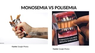 MONOSEMIA VS POLISEMIA
Fuente: Google Photos
Fuente: Google Photos
 