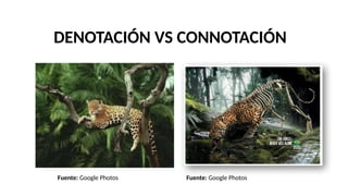 DENOTACIÓN VS CONNOTACIÓN
Fuente: Google Photos Fuente: Google Photos
 
