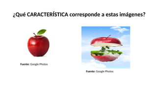 Fuente: Google Photos
Fuente: Google Photos
¿Qué CARACTERÍSTICA corresponde a estas imágenes?
 