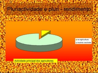 Pluriactividade e pluri - rendimento Actividade principal dos agricultores  