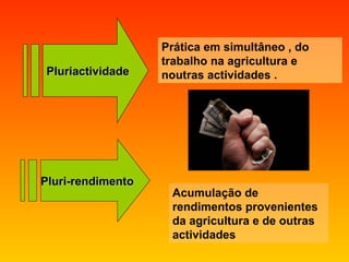Pluriactividade Prática em simultâneo , do trabalho na agricultura e noutras actividades . Pluri-rendimento Acumulação de rendimentos provenientes da agricultura e de outras actividades 