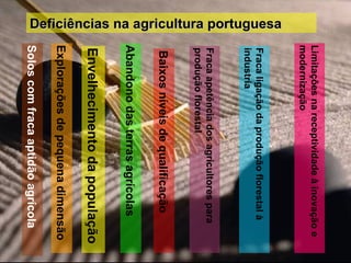 Deficiências na agricultura portuguesa Solos com fraca aptidão agrícola Explorações de pequena dimensão Envelhecimento da população Abandono das terras agrícolas Baixos níveis de qualificação Fraca apetência dos agricultores para produção florestal Fraca ligação da produção florestal à industria Limitações na receptividade à inovação e modernização 