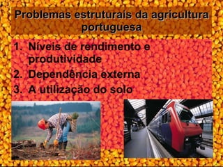 Problemas estruturais da agricultura portuguesa Níveis de rendimento e produtividade Dependência externa A utilização do solo 