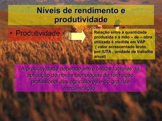 Níveis de rendimento e produtividade Produtividade Relação entre a quantidade produzida e a mão – de – obra utilizada é medida em VAP  ( valor acrescentado bruto por /UTA , unidade de trabalho anual) A produtividade depende entre outros factores da aplicação de novas tecnologias da formação profissional dos agricultores e do grau de mecanização. 