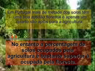 No entanto a percentagem de solos ocupados pela  agricultura é bastante superior à ocupada pela floresta. Em Portugal mais de metade dos solos têm uma boa aptidão florestal e apenas um quarto são aptos para a agricultura. 