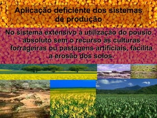 Aplicação deficiente dos sistemas de produção No sistema extensivo a utilização do pousio absoluto sem o recurso às culturas forrageiras ou pastagens artificiais, facilita a erosão dos solos. 