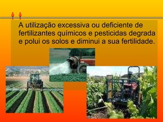 A utilização excessiva ou deficiente de fertilizantes químicos e pesticidas degrada e polui os solos e diminui a sua fertilidade. 