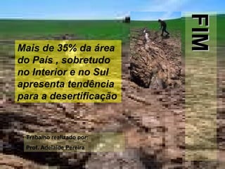 Mais de 35% da área do País , sobretudo no Interior e no Sul apresenta tendência para a desertificação FIM Trabalho realizado por: Prof. Adelaide Pereira 